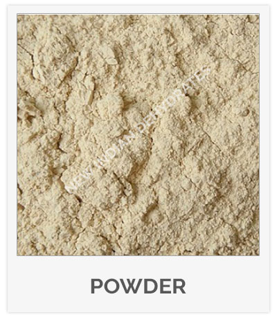 Garlic Powder