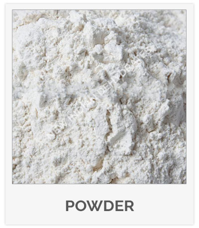 White Onion Powder